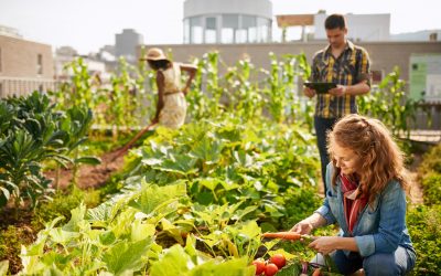 Faire rentrer la nature au bureau : un moyen d’impliquer et apaiser les collaborateurs