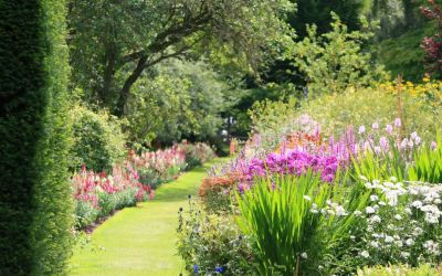 “La Sagesse du Jardinier” : une réflexion philosophique