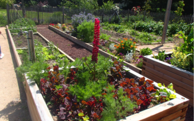 Le boom des Thérapies non médicamenteuses et des “Jardins de Santé”