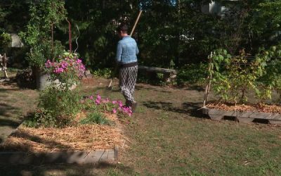 Le “Jardin de Vie” thérapeutique, un outil pour lutter contre les addictions