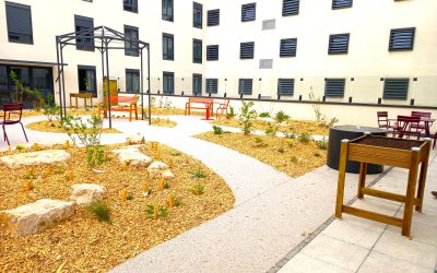 Livraison du “Jardin de vie” sur la terrasse de l’EHPAD Sainte-Elisabeth à Lyon