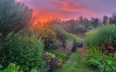 Point d’étape pour La Vie en Roses : un printemps 2025 actif avec de beaux projets en cours !