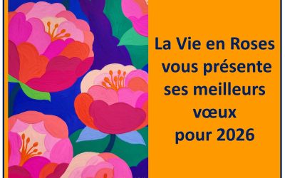 Meilleurs Voeux pour 2026 !